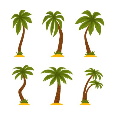 Palm Tree, Tropikal Bitki rolünde. Bagajı Kum Vektörü Kümesine Dinlenmiş. Dalsız Kök ve Evergreen Yaprakları Konsepti ile Egzotik Flora
