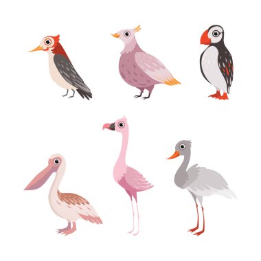 Bird as Winged Feathered Aves with Beaked Jaw Vector Set. Flying Living Species with Sea Parrot, Pelican and Flamingo Concept clipart