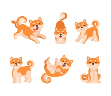 Tapılası Shiba Inu Köpek Karakteri Farklı Etkinlik Vektörü Seti 'ne girdi. Turuncu Ceketli ve Şirin Burunlu Oyuncu Japon Köpek Yavrusu