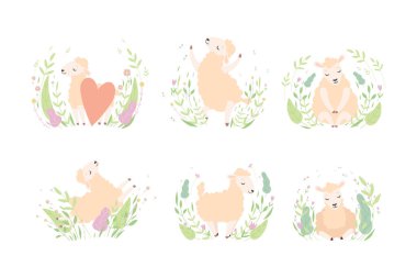 Meadow Çiçek Vektör Seti 'nde Şirin Koyun Dinleniyor ve Rahatlıyor. Çiçek Tarlasında Çiftlik Hayvanı rolünde Sevimli Küçük Yumuşak Kuzu