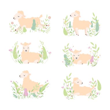 Meadow Çiçek Vektör Seti 'nde Şirin Koyun Dinleniyor ve Rahatlıyor. Çiçek Tarlasında Çiftlik Hayvanı rolünde Sevimli Küçük Yumuşak Kuzu