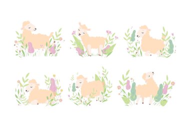 Meadow Çiçek Vektör Seti 'nde Şirin Koyun Dinleniyor ve Rahatlıyor. Çiçek Tarlasında Çiftlik Hayvanı rolünde Sevimli Küçük Yumuşak Kuzu