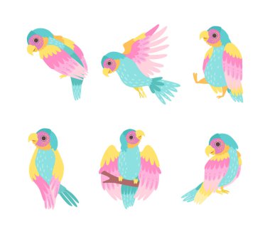 Parlak Tüylü ve Gaga Vektör Kümeli Tropik Renkli Papağan. Egzotik Uçan Yaratık