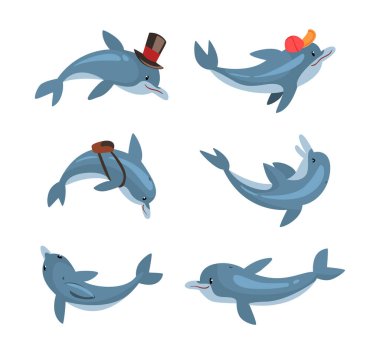 Cute funny dolphins swimming and jumping at entertainment show set cartoon vector illustration isolated on white clipart