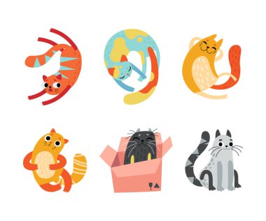 Kürklü Evcil Hayvan Oynayan ve Karton Kutu Vektör Seti 'nde Oturan Şirin, Parlak Kedi. Komik Burunlu Komik Mırıldayan Memeliler