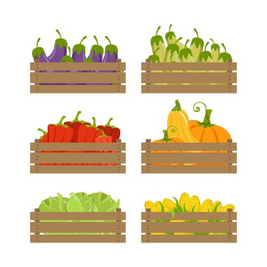 Mevsimlik Hasat Vektörü Seti olarak sebzeli ahşap sandık. Olgun Organik Tarım Ürünleri Konteynırı