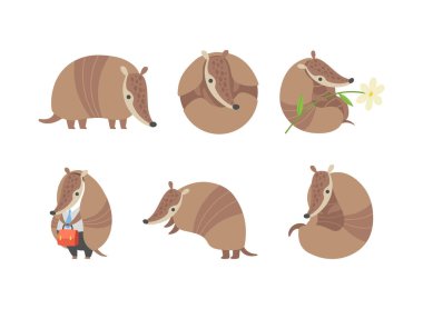 Cute Armadillo Character with Armor Shell Engaged in Different Activity Vector Set. Funny Placental Mammal Concept clipart