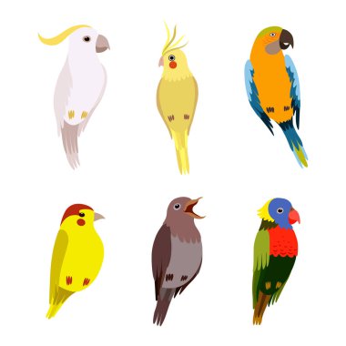 Parlak Plumage Vector Set ile Tüneyen Kuşlar Kanatlı Yaratık. Uçan Gaga Kavramlı Sıcak kanlı Ave 'ler