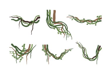 Sarmaşık dalları ya da lianalar. Orman tropikal tırmanma bitkileri karikatür vektör çizimi beyaz üzerinde izole