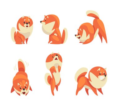 Farklı pozlarda şirin kırmızı Pomeranya tükürüğü. Beyaz üzerine izole edilmiş komik tüylü köpek çizgi film vektör çizimi