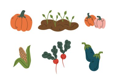 Taze organik sebzeler. Balkabağı, mısır koçanı, turp, patlıcan çizgi film çizimi beyaza izole edilmiş.