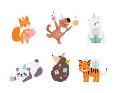 Bir grup sevimli hayvan doğum günü seti kutluyor. Eğlendiren tilki, köpek, ayı, panda, kirpi, kaplan parti şapkalarında hediye taşıyan kaplan beyaz karikatür çizimi