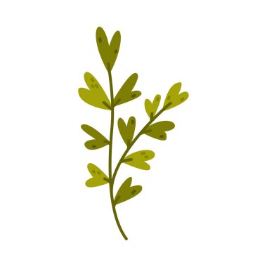 Yeşil Yapraklı Çiçek Dalı Şirin Yapraklar Vektör İllüstrasyonu. Botanik ve Çiçeksel Element