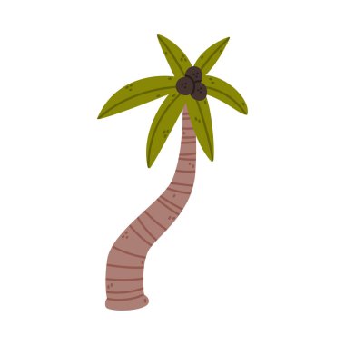 Bagajlı ve Yapraklı Palmiye Ağacı Park 'ta Top Growing veya Woodland Vector Illustration. Orman Doğa ve Botanik Büyümesi