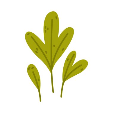 Yeşil Yapraklı Çiçek Dalı Şirin Yapraklar Vektör İllüstrasyonu. Botanik ve Çiçeksel Element