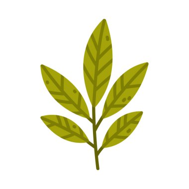 Yeşil Yapraklı Çiçek Dalı Şirin Yapraklar Vektör İllüstrasyonu. Botanik ve Çiçeksel Element