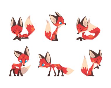 Cute Red Fox with Bushy Tail in Different Pose Vector Set. Funny Wild Furry Woodland Animal clipart