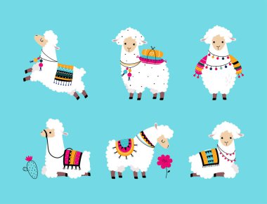Pretty Wolly Llama ya da örgü ören örülü battaniye mavi arka plan vektör seti üzerinde farklı poz. Camelid Sürüsü Hayvan Konsepti Olarak Yumuşak Güney Memeli