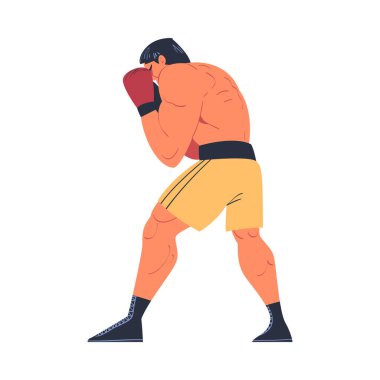 Şortlu ve boks eldivenli güçlü kaslı adam beyaz arka planda izole edilmiş vektör çizimi üzerinde dövüşüyor.