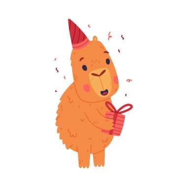 Parti şapkası içinde hediye kutusundaki şirin bebek Capybara. Güney Amerika 'nın komik çizgi film çizimi beyaz renkte izole edilmiş.