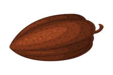 Kurutulmuş kakao çekirdeği. Çikolatalı tatlı, içecekler ve hamur işi malzeme çizgi film vektör çizimleri beyaza izole edilmiş.