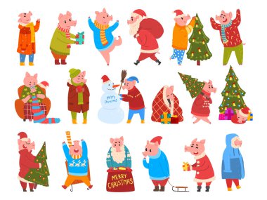 Kış tatillerini kutlayan kalın kışlık giysiler içinde şirin bir domuz Noel karakteri. Mutlu Noeller ve mutlu yıllar vektör çizimleri