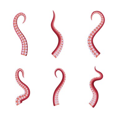 Ahtapot dokunaçları Deniz Hayvanı Vektör Kümesi 'nin bir parçası. Eğri Deniz Yaratığı Organı