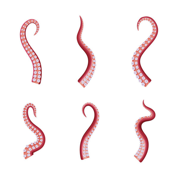 Octopus Tentacle as Part of Sea Animal Vector Set. Curved Marine Creature Organ