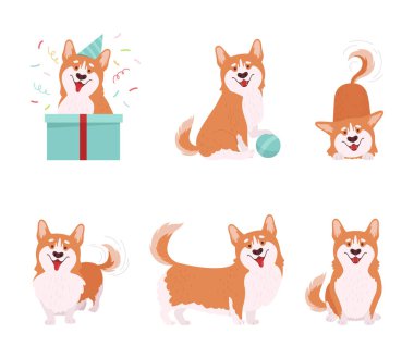 Kısa bacaklı Galli Corgi ve farklı poz vektörü setindeki kahverengi ceketli. Evcil Hayvan ve Evcil Hayvan Konsepti Olarak Safkan Oyuncu Köpek