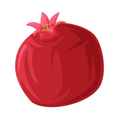 Gürcistan Kültür Sembolü ve Ülke Öznitelikli Vektör İllüstrasyonu olarak Kırmızı Nar Meyvesi. Otantik Gürcistan Mutfak Kavramının Ayırt Edici Gıda