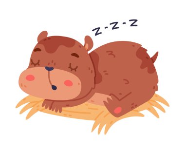 Şişman Vücutlu Sevimli Hamster Karakteri Saman ve Uyuyan Vektör Resimlerinde Uzanıyor. Güzel Burunlu Komik Kemirgen Hayvanı