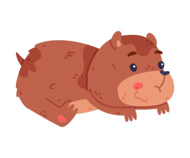 Şişman Vücut Yalan Söyleyen ve Yanak Kesesinde Bir Şey Çiğneyen Sevimli Hamster Karakteri. Güzel Burunlu Komik Kemirgen Hayvanı