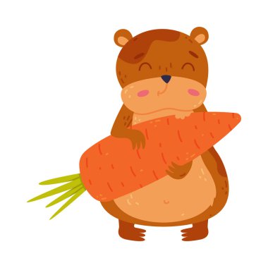 Beyaz arka planda izole edilmiş havuç yiyen küçük sevimli hamsterın ön görüntüsü.