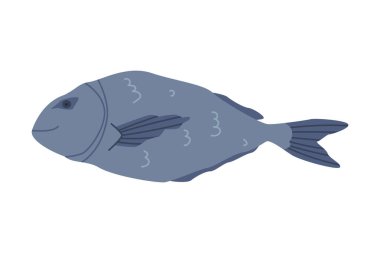 Geleneksel İstanbul Sembol Vektör İllüzyonu Olarak Sazan Balığı. Türk Kültürel Ayırıcı Otantik Nesne Kavramı