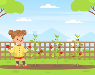 Garden Vector Illustration 'da Kırmızı Domates Toplayan Şirin Küçük Kız. Yard 'daki Komik Çocuk Hasat Konseptine Bağlandı