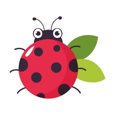 Şirin uğur böceğinin yukarıdan görüntüsü. Beyaz arka planda izole edilmiş komik küçük uğur böceği çizgi film vektör çizimi