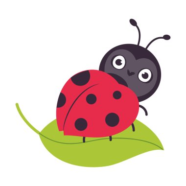 Beyaz arka planda izole edilmiş yaprak karikatür vektör illüstrasyonunda oturan sevimli küçük uğur böceği.