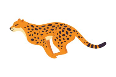 Uzun Benekli Vücut Vektörü İllüstrasyonlu Vahşi Kedi rolünde Leopar. Afrika Hayvanları Konsepti Olarak Sarı Derili Yırtıcı Hayvan
