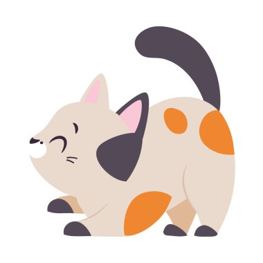 Paw and Tail ile Komik Kedi Vektör İllüzyonu Oynuyor. Güzel Burunlu Şirin Evcil Hayvan