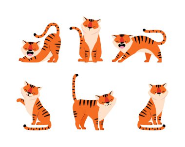 Turuncu Kürk İllüzyon Seti ile komik çizgili kaplan. Tatlı Ağızlıklı Vahşi Orman Hayvanı Egzotik Hayvan Konsepti
