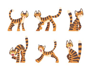 Turuncu Kürklü ve Siyah Çizgili Vektör Kümeli Kaplan Karakteri. Farklı Poz Veren Vahşi Kedi Türü