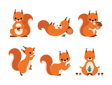 Bushy Tail Vektör İllüstrasyon Seti ile Şirin Kırmızı Sincap. Orman Hayvanı Gibi Komik Küçük Hayvan Konsepti