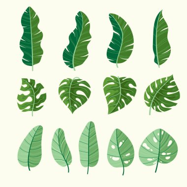 Tropikal Çiçek seti