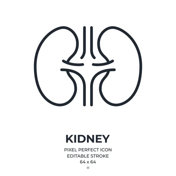 stock vector Kidney editable stroke outline icon isolated on white background flat vector illustration. Pixel perfect. 64 x 64.