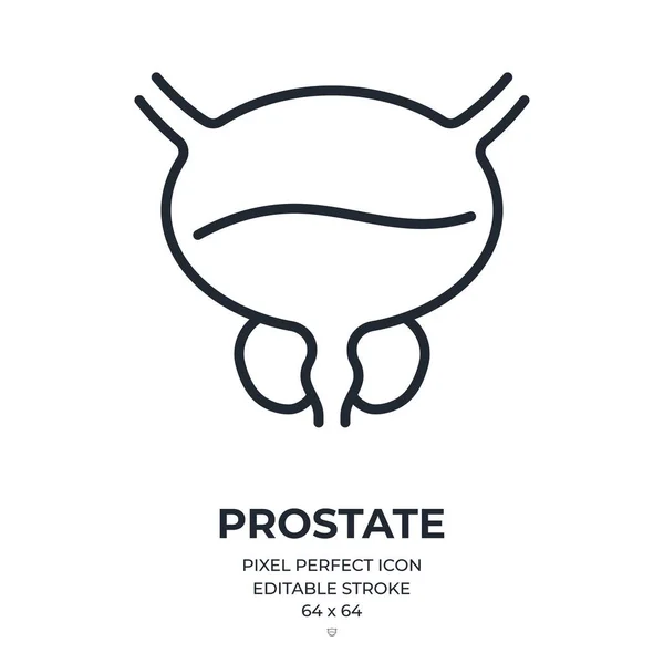 Prostate Editable Stroke Outline Icon Isolated White Background Flat Vector — Stock Vector