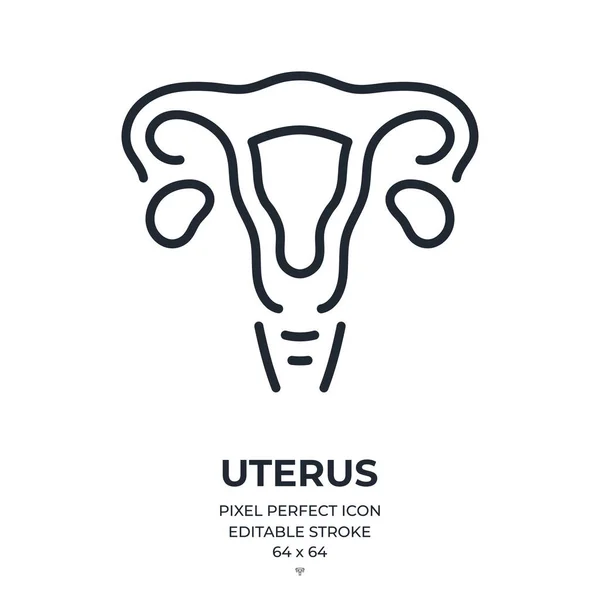 Uterus Fêmea Sistema Reprodutivo Editável Acidente Vascular Cerebral Ícone Esboço — Vetor de Stock