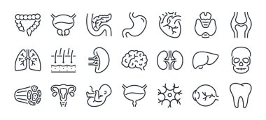 İnsan vücudu anatomisi ve organları düzenlenebilir çizgi simgeleri beyaz arka plan düz vektör illüstrasyonunda izole edildi. Piksel mükemmel. 64 x 64.
