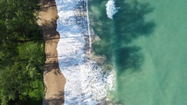 Ağaç gölgeli beyaz deniz dalgası, drone 'un üst görüntüsü, dalgaların sıçrattığı güzel parlak deniz..