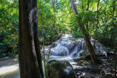 Tayland 'da tropikal yağmur ormanlarında güzel bir orman şelalesi.