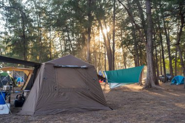 Ağaçların altında kamp yapan gün batımlı bir turist çadırı.